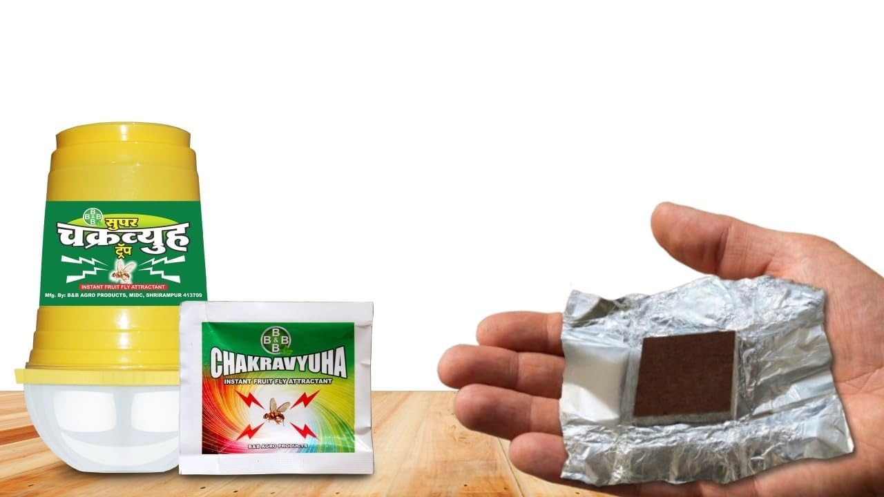 B & B Agro Products Chakravyuha Fruit Fly Attractant Trap for Fruits & Vegetables | Ready-to-Use Traps with Lures | Effective Pest Control for Garden, Farm & Crops (Pack of 20)