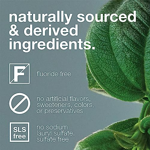 Davids Natural Charcoal Toothpaste For Enhanced Teeth Whitening, Peppermint, Antiplaque, Flouride Free, Sls Free, Enamel Safe, Toothpaste Squeezer Included, Recycable Metal Tube, 5.25Oz #TOP2
