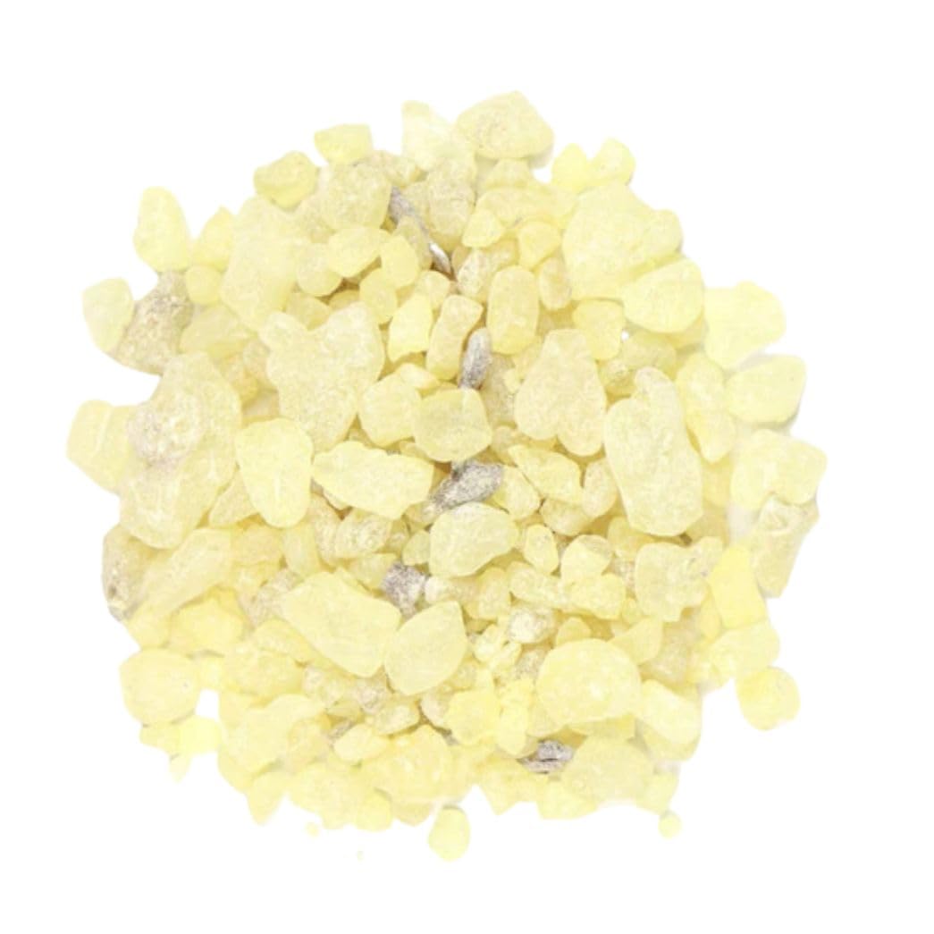 Bless International Premium Grade A Indian White Copal Resin Dammar 100% Pure Natural Organic Blanco Tree Sap Gum Incense Sacred Aroma for Meditation Cleansing Wellness 0.25Lb-113.3-Grams-4-Ounces