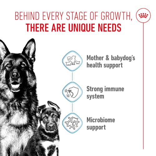 Image of Royal Canin Maxi Starter, Mother & Babydog Food, 15 Kg, Dry Food, Supports Complex Natural Defence & digestive health, Provides Gestation /Lactation Support, Supports Easy rehydration