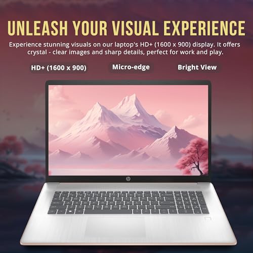 Laptop HP 17.3" HD+ Intel Celeron N4120 32GB RAM 1TB SSD miniatura 3