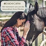 DADECARE Broncare Atemschutzmittel für Pferde, 1 l – Extrakte aus Minze, Eukalyptus, Thymian und Kräutern – Stärkung des Immunsystems und des Wohlbefindens der Lunge – ideal in Umgebungen mit Staub
