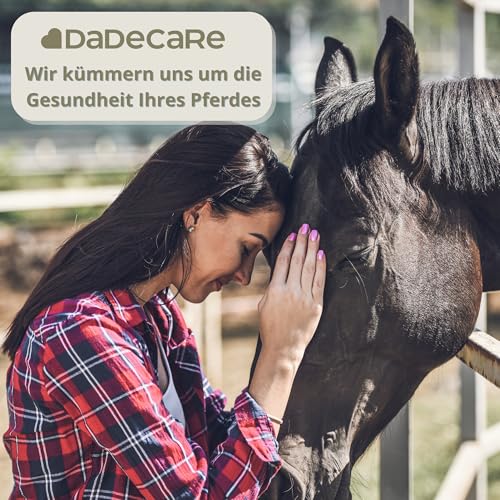 DADECARE Broncare Atemschutzmittel für Pferde, 1 l – Extrakte aus Minze, Eukalyptus, Thymian und Kräutern – Stärkung des Immunsystems und des Wohlbefindens der Lunge – ideal in Umgebungen mit Staub