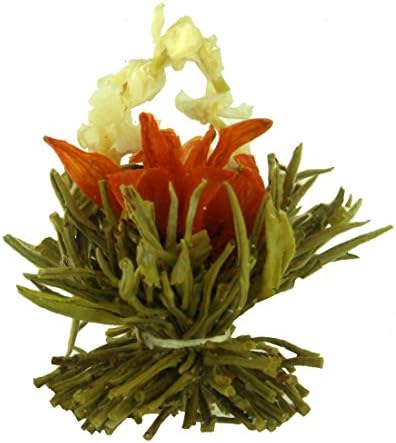 The Tea Makers of London Flowering Tea Gift Caddy - 10 Bulbs