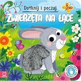 DOTKNIJ I POCZUJ. ZWIERZĘTA NA ŁĄCE. KS SENSORYCZN