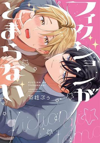 フィクションがとまらない