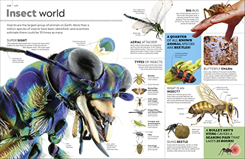 Eyewitness Encyclopedia of Everything: The Ultimate Guide to the World Around You