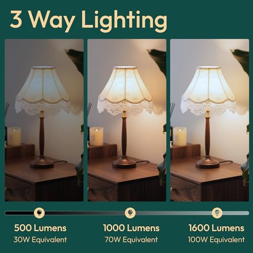 Image of ALAMPEVER 3 Way Light Bulbs 4 Pack, 30 /70 /100W Equivalent, Bright A19 LED Light Bulb, 5000K Daylight White, 500 /1000 /1600LM, 4 /8 /12W, E26 Base, Non-Dimmable, Ideal for Living Room, Entryway, Hallway