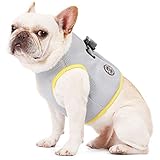 TFENG Pet Cooling Dog Weste Sommermantel Leichte Wiederverwendbare