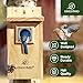 Kingsyard Blue Bird House for Outdoors - Classic Wooden Bluebird House with Predator Guard for Bluebirds Titmice Chickadees Nesting Birds, Wood