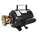 Jabsco Bronze AC Motor Pump Unit - 115v