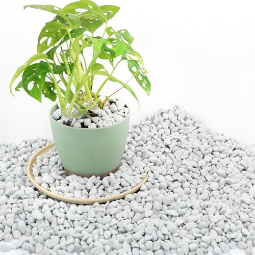 3 Quarts Chunky Perlite for Plant Soil Amendment for Potting Soil Improves Drainage and Aeration for Soil Ideal for Succulents Orchid Flower Plants (1/4 inch)