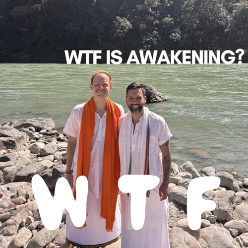 WTF is Awakening cover art
