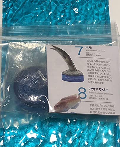 Amazon | 日本水族館立体生物図録 京都水族館フィギュア コレクション