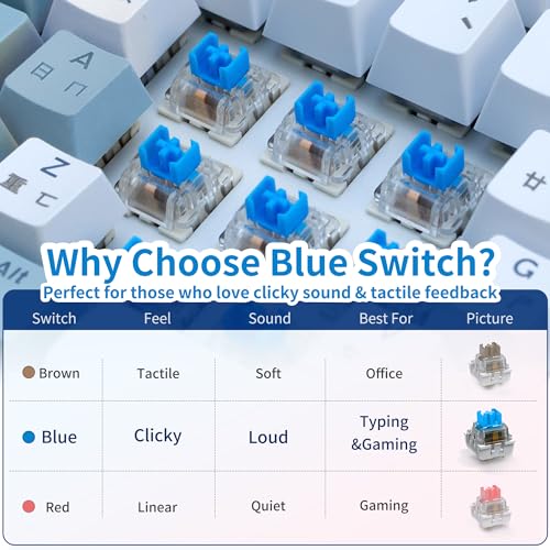 Image of Nadadora 2 PCS Blue Mechanical Keyboard Switches, Dustproof 3 Pin Clicky Tactile MX Compatible Key Switches, Transparent Housing for Switch Tester, Keyboard Testing & Fidget Clicker