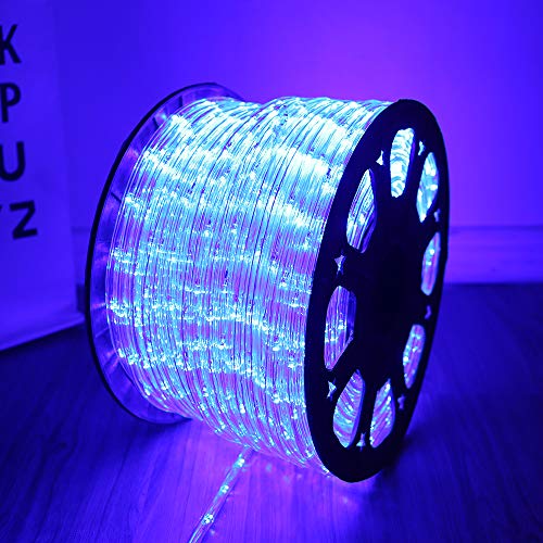 Upgraded 100ft Rope Lights,2-Wire Low Voltage Waterproof Led Rope Lights,Indoor Outdoor Rope Lighting