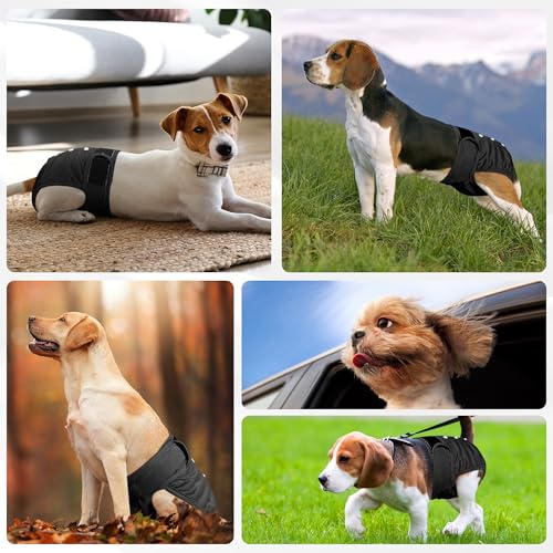 Image of Dog Diapers Female 5pcs,Reusable Dog Doggie Puppy Doggy Diapers Female, Period Panties in Heat, Black, XLarge