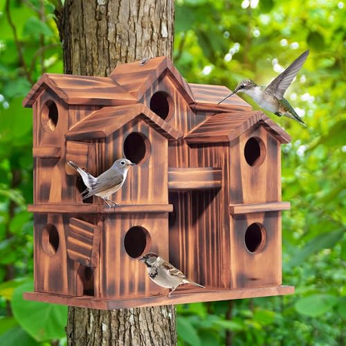 MIXUMON Wooden Bird Houses for Outside – 10 Rooms Multi-Chamber Bird House, Carbonized Pine Rustic Finish, 1.57\" Entrance Holes, Individual Cleaning Doors, Decorative Outdoor Bird Nesting Box