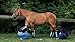 Warrior Fly Boots for Horses - Breathable Mesh Horse Boots for Fly Protection & Leg Comfort - Set of 4 (Lil Warrior, Red)