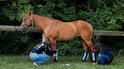 Warrior Fly Boots for Horses - Breathable Mesh Horse Boots for Fly Protection & Leg Comfort - Set of 4 (Knight Warrior, Neon Orange) - Image 7