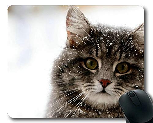 Q[~O}EX}bgADF̍~~L}EXpbhARs[^cat086p}EX}bg