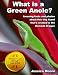 What is a Green Anole? - Amazing facts and photos about this tiny lizard that's related to the Komodo Dragon
