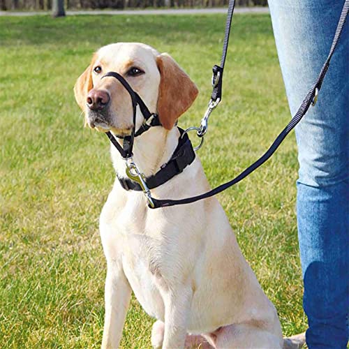 WUDQIJI Ausbildungsgeschirr Hundehalfter Haustier Maulkorb Für Hunde Maulkorb Hunde Trainingsmaulkorb Hund Maulkorb Schwarz Hundemundschutz Training Halter verhindert Bellen Beißen und Kauen (L)
