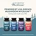 Host Defense MycoBenefits Mood* Capsules - Healthy Mind Support with Lion's Mane, L-Theanine & Ashwagandha - Relaxing & Calming Supplement - 60 Capsules (30 Servings)*