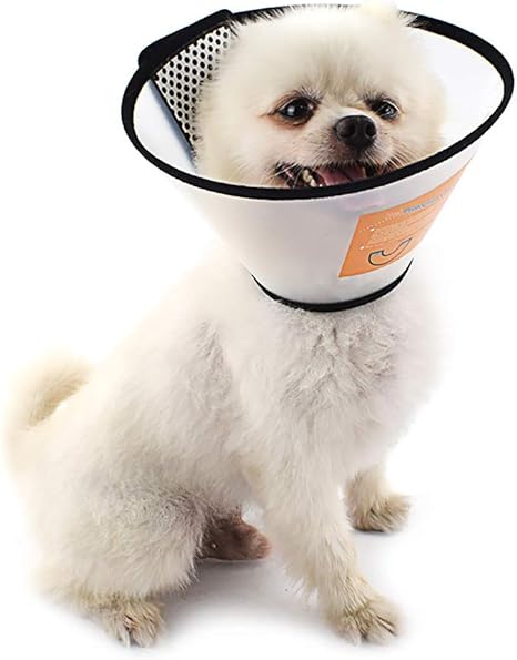 Soft sided dog cone Clearance