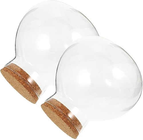 Angoily Elegante botella de musgo de vidrio, 2 piezas, botella redonda de terrario, tapón de madera blanda para decoración del hogar u oficina