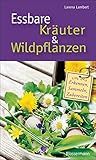  Essbare Kräuter und Wildpflanzen: erkennen, sammeln und zubereiten