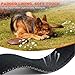 Taglory Hundehalsband, Weich Gepolstertes Neopren Nylon Hunde Halsband für Extra Große Hunde, Verstellbar und Reflektierend für das Training, Schwarz