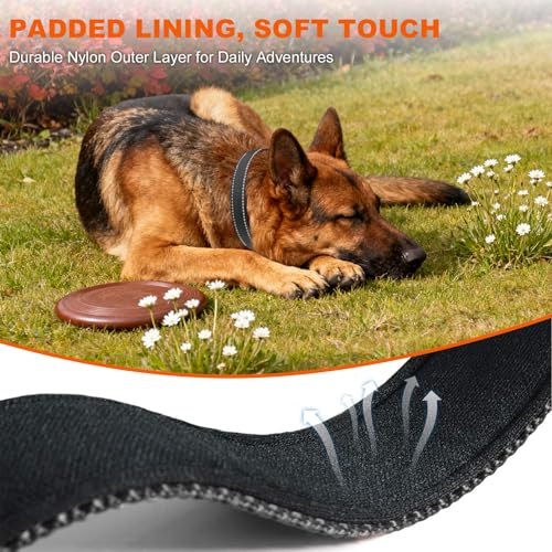 Taglory Hundehalsband, Weich Gepolstertes Neopren Nylon Hunde Halsband für Extra Große Hunde, Verstellbar und Reflektierend für das Training, Schwarz