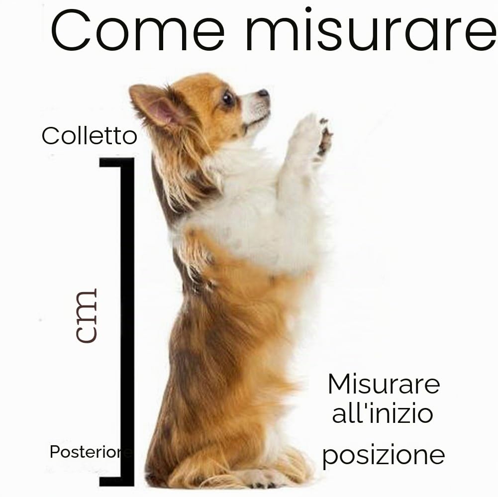 Confortevole Borsa per Cani Zaino per Cani E Gatti per Outdoor Escursione Pieghevole per Viaggio in Treno Trasportino per Animali Domestici