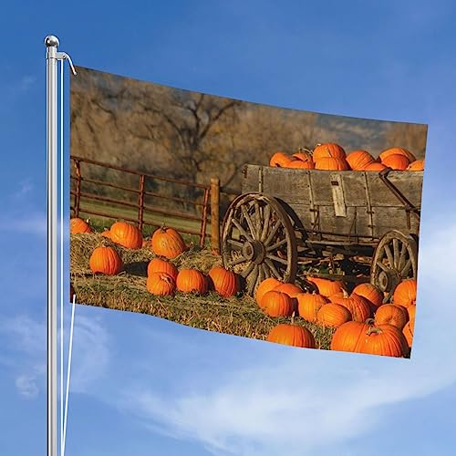 Drapeau de jardin citrouille 1,2x1,8m double face pour décoration extérieure