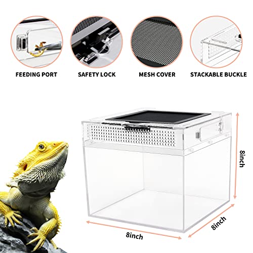 Reptile Growth RG-P01 US Mini Reptile Terrarium,8 Inch X 8"X 8 Inch Reptile Tank With Full View Visually Appealing,For Insect,Fish,Tarantula,Hermit Crab,Jumping Spider,Iguana,Tortoise,Leopard Gecko,Frog,Bearded Dragon thumb #3