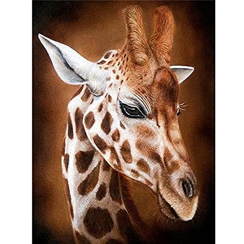 Amazon.co.jp: DIYキリン5Dダイヤモンド絵画フルラウンドドリルクロス