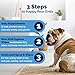 Vetnique Glandex Dog Wipes for Pets Cleansing & Deodorizing Anal Gland Hygienic Dog & Cat Wipes with Vitamin E, Skin Conditioners and Aloe (75ct)