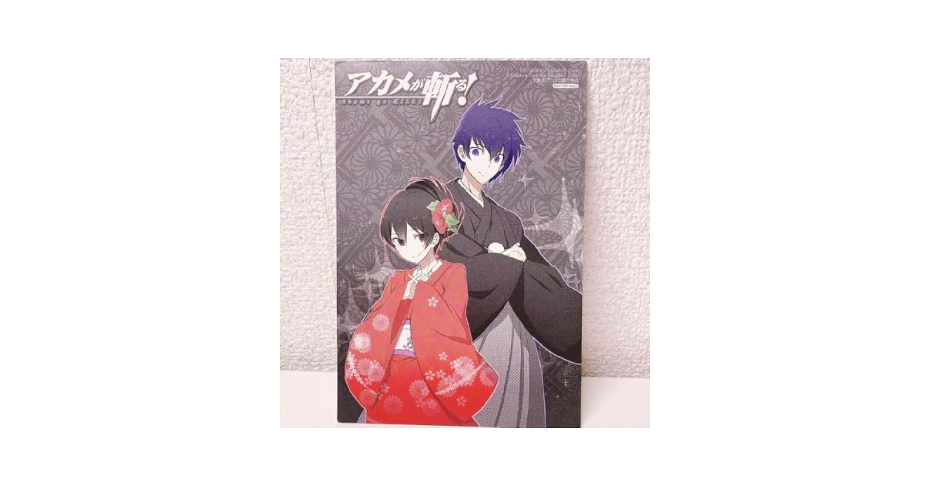 アカメが斬る　イラストカード アカメが斬る 零 アニメイト 特典 イラストカード 色紙 ②