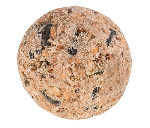 Fidelio Meisenknödel ohne Netz, ganzjähriges Wildvogelfutter proteinreich/energiereich, hochwertiges Vogelfutter für Wildvögel, 30 Stück im Karton aus FSC-zertifizierter Produktion, 2.5 kg