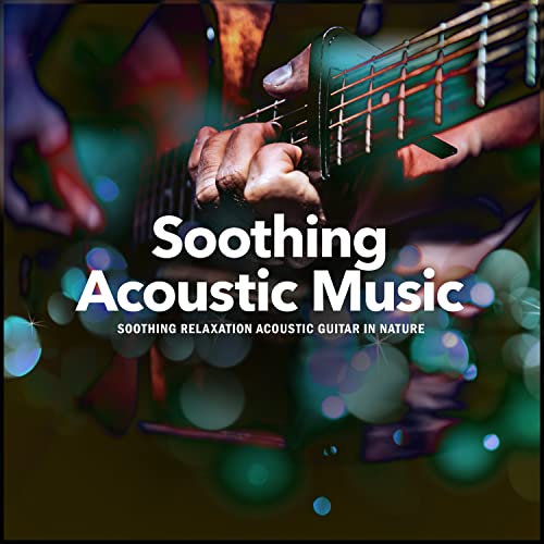 Best Waves Reverb For Acoustic Guitar Expert Review The Modern Record