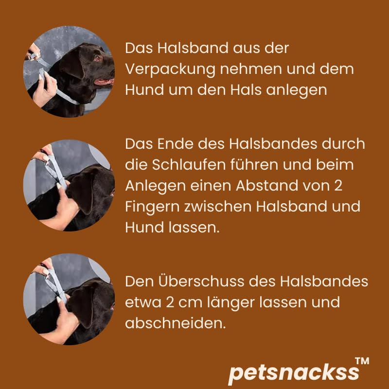 Zeckenhalsband für Hunde - 100% Natürliche Inhaltsstoffe - bis zu 8 Monate wirksamer Schutz gegen Zecken, Flöhe und Läuse - Universell passend (1er Pack)