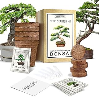 Bonsai Tree Starter Kit - Indoor and Outdoor Beginner Seed Kit, Soil Mix