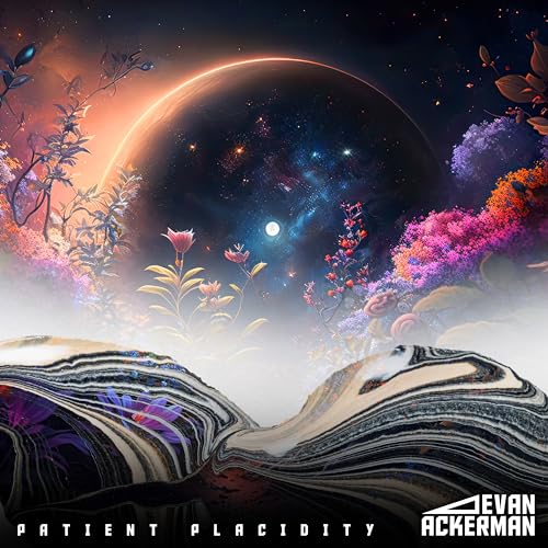 Amazon.co.jp Patient Placidity Evan Ackerman Digital Music