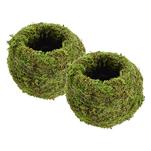 Arcadia Garden Products KO01-2 Kokedama, Japanese Moss Balls-4.0 x 3.5, Set of 2, Green, 4.0 x 3.5