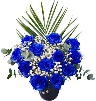 Yoicn Lth 12 Blue Dyed Roses Presented in a Hand Tied Bouquet with Lush Foliage and Delivered for Free