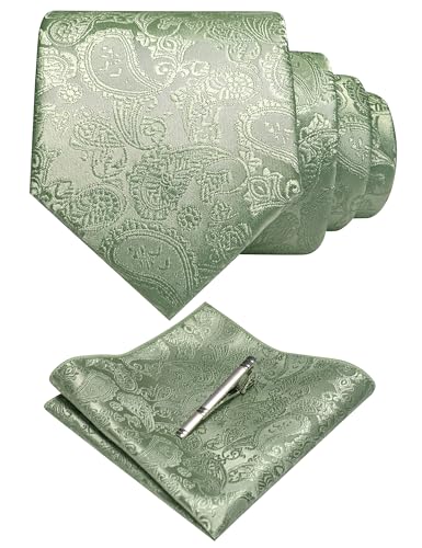 JEMYGINS Mens Sage Green Paisley Necktie and Pocket Square with Tie Clip Sets(51)
