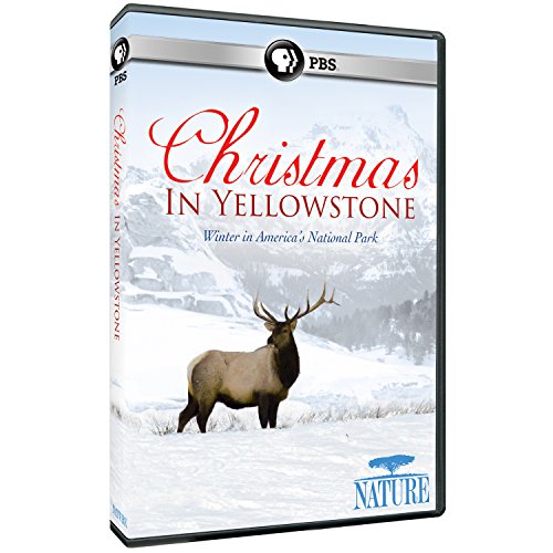 Nature: Christmas in Yellowstone