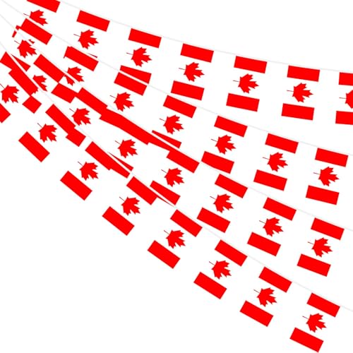 Image of AhfuLife 33 Ft Canada Small Flags Banner for World Cup Decoration 2026, 30 Pcs Mini Canadian Bunting String Flags - Double Sided for National Day Sports Garden Party Celebration Decor (5.5x8.3 Inch)
