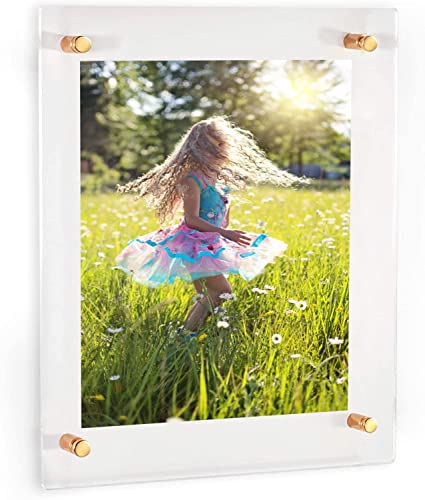 Acrylic Floating Frames Gold Standoffs(single) 9